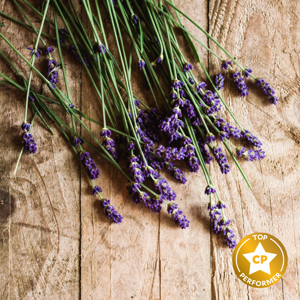 Lavender and Cedar Fragrance Oil image number null