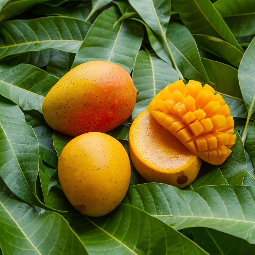 Mango Mango Fragrance Oil image number null
