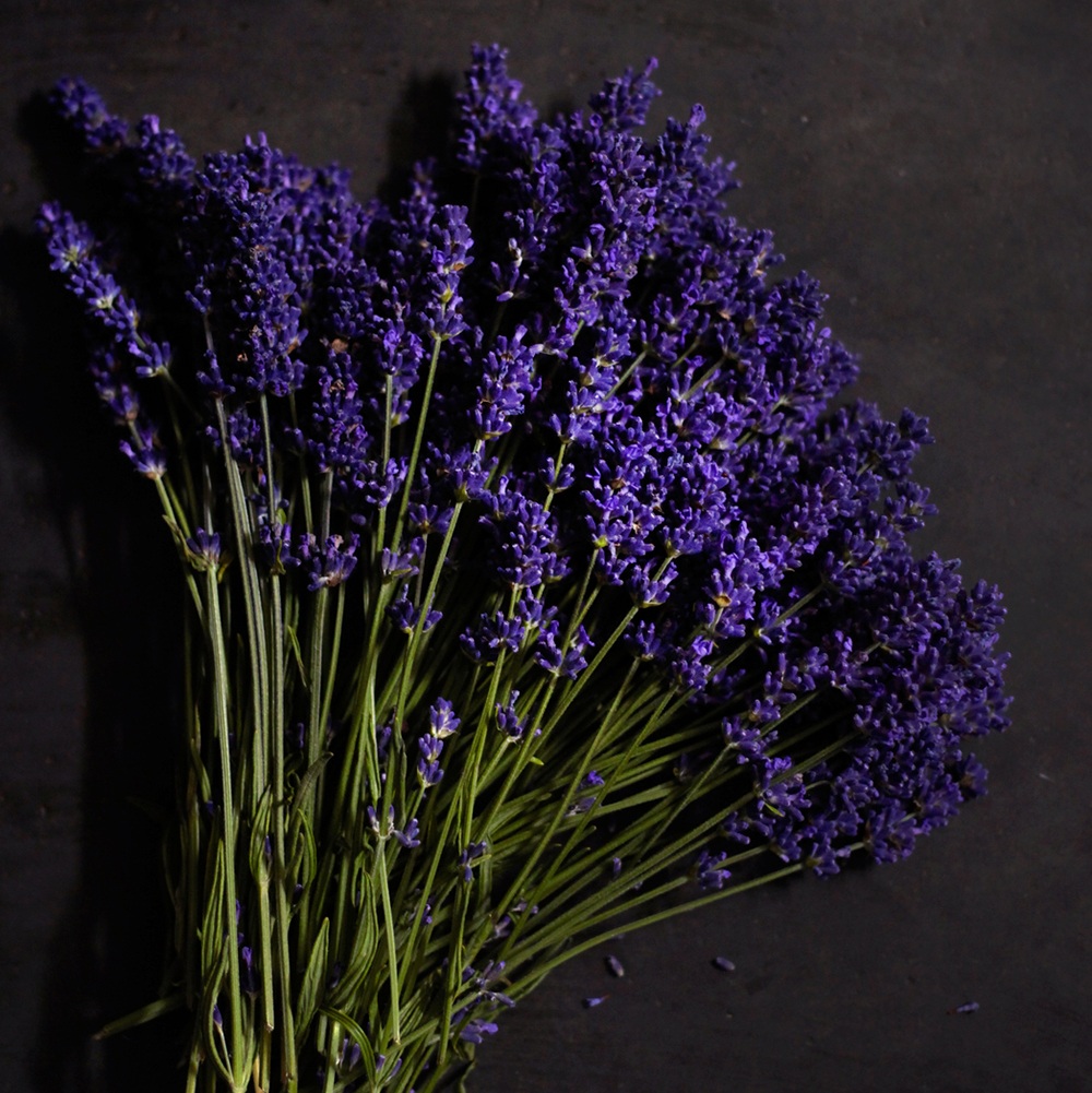 Black Amber And Lavender Fragrance Oil image number null
