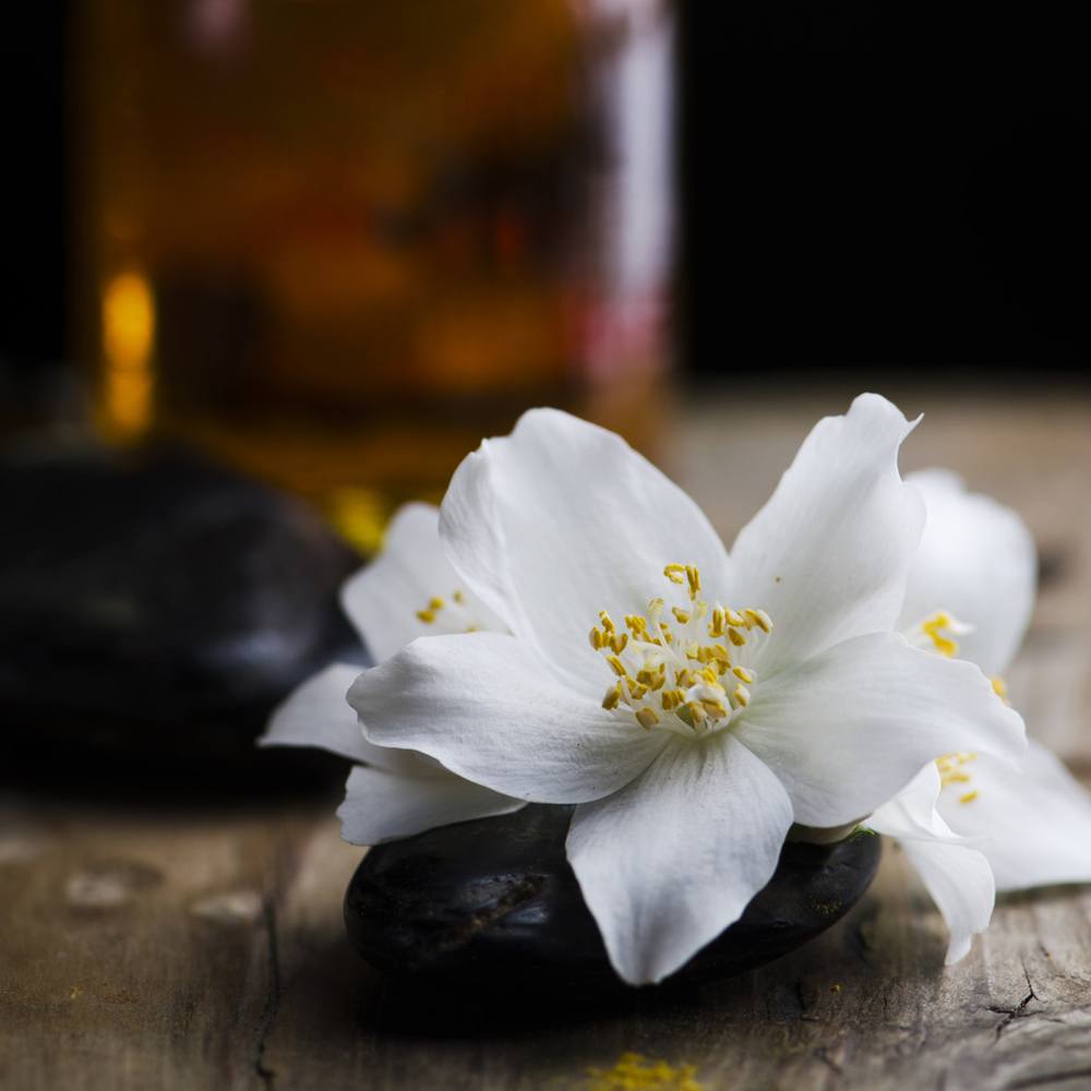 Sultry Black Jasmine Fragrance Oil image number null