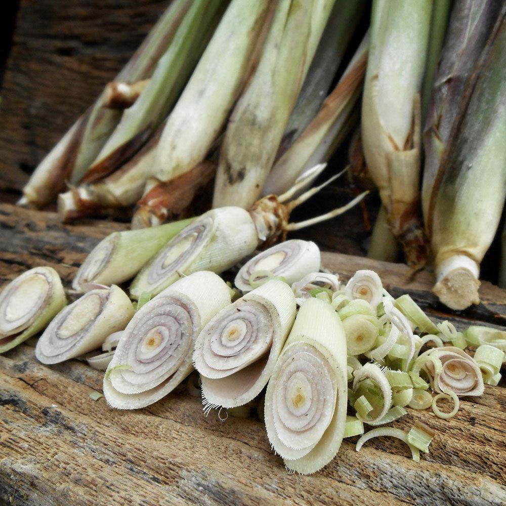 Sage and Lemongrass Fragrance Oil image number null