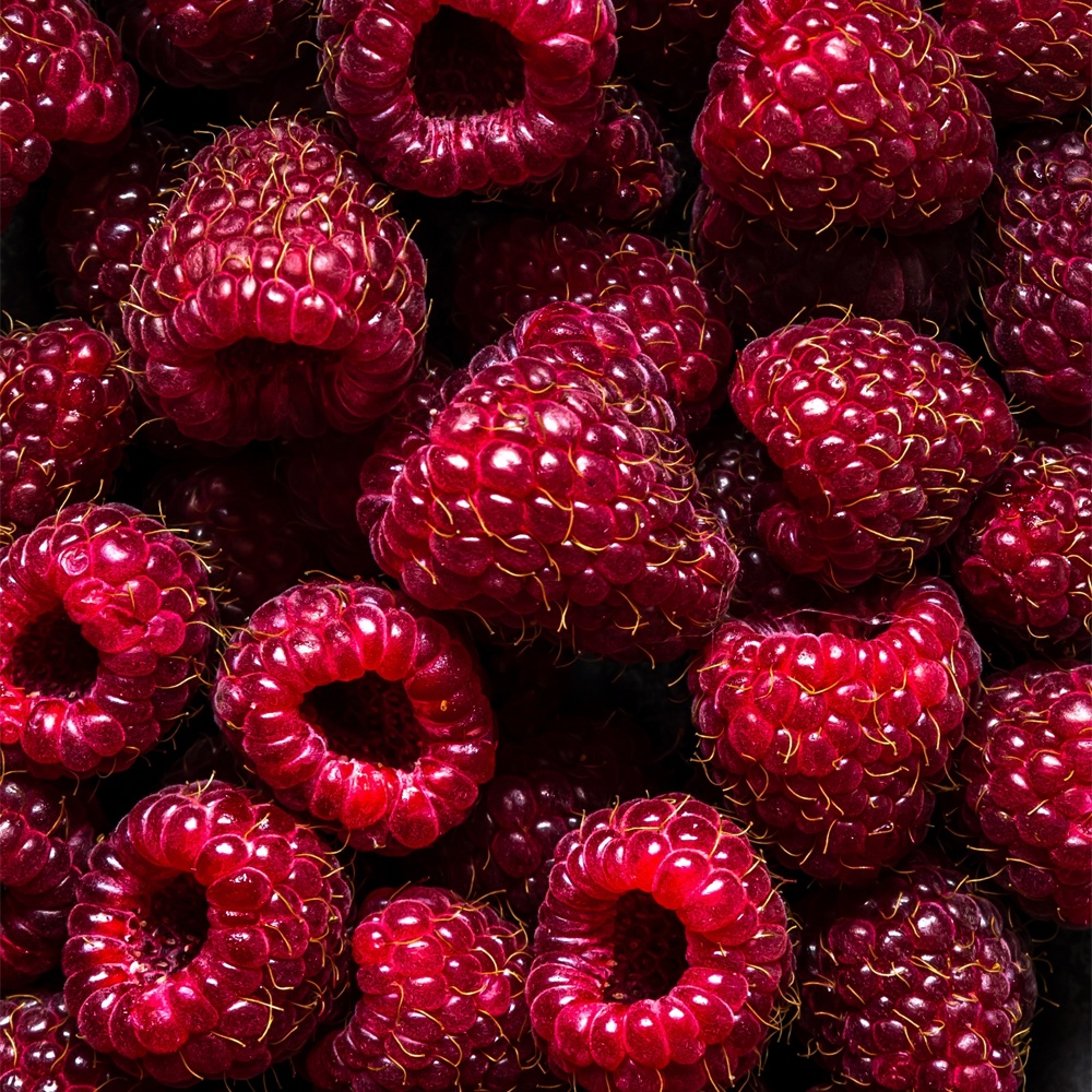 Black Raspberry Vanilla Fragrance Oil image number null