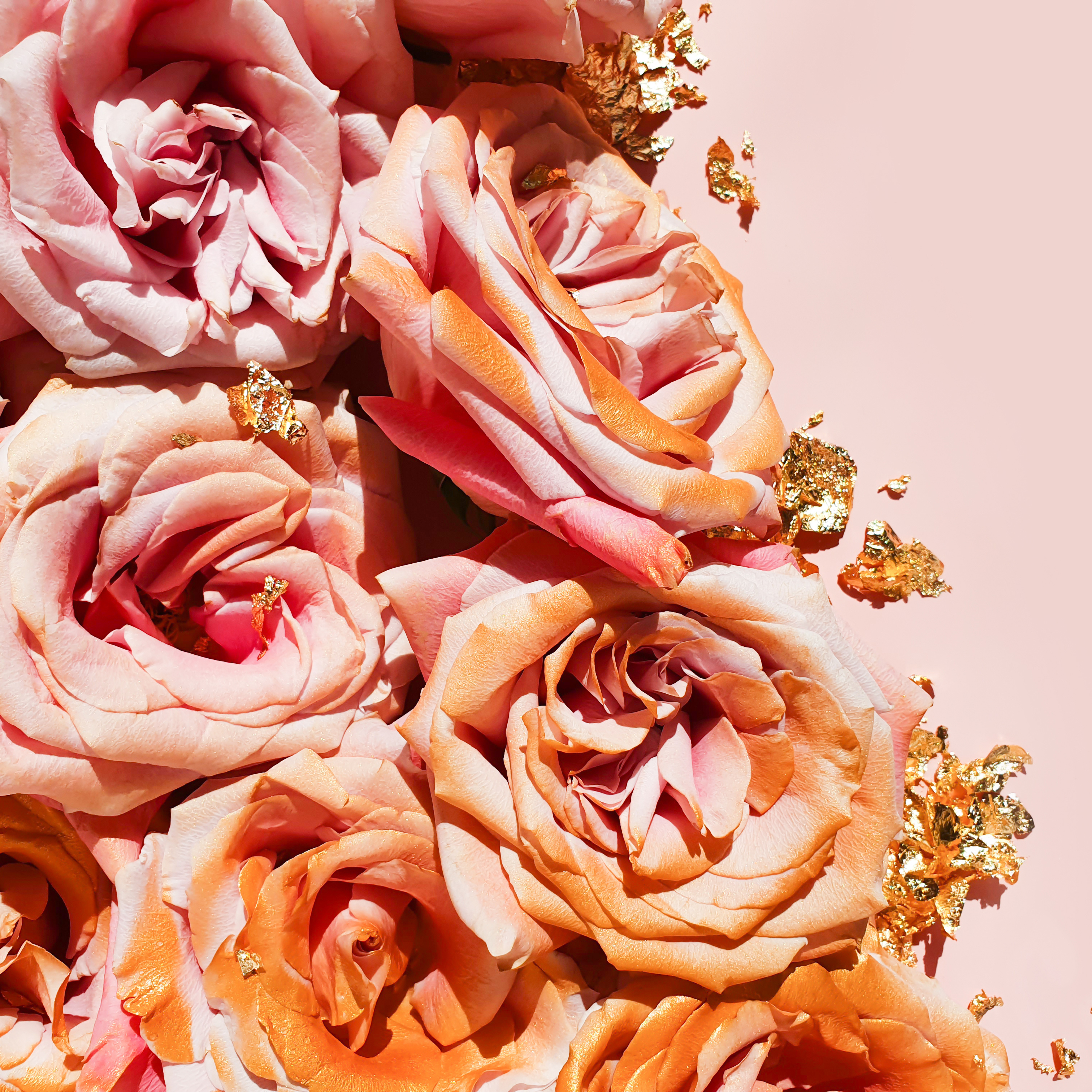 Rose Gold Fragrance Oil image number null