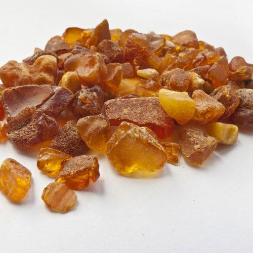 Amber Fragrance Oil image number null