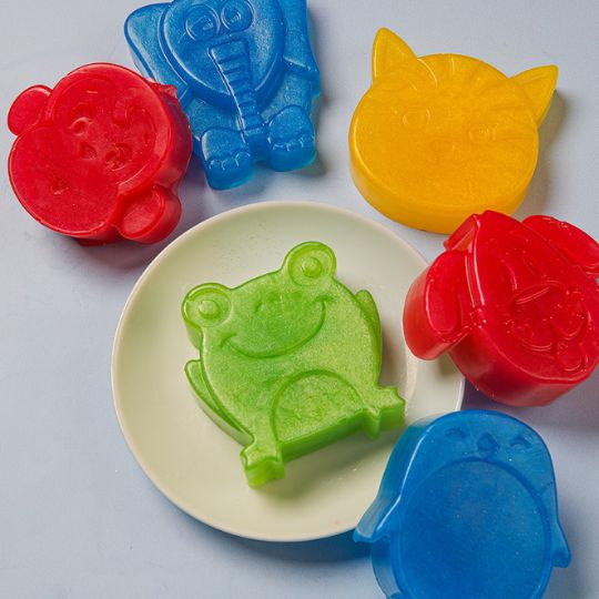 Animal Pals Soap Project image number null