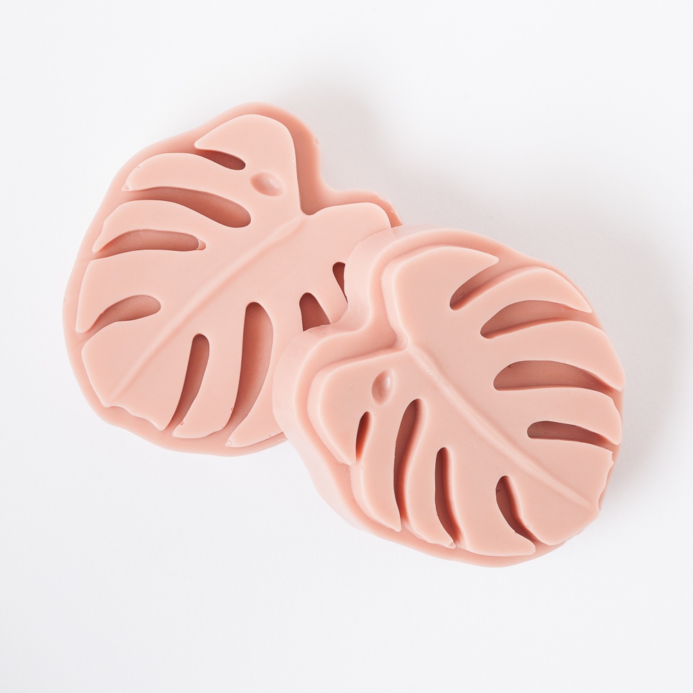 2 Cavity Monstera Silicone Mold image number null