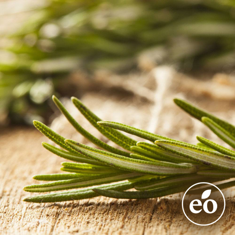 Rosemary Essential Oil image number null