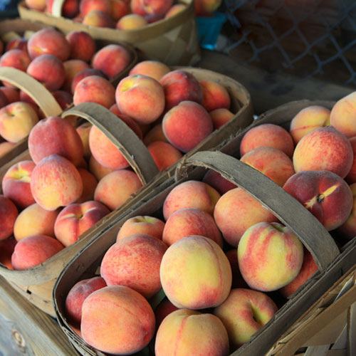 Southern Peach Fragrance Oil image number null