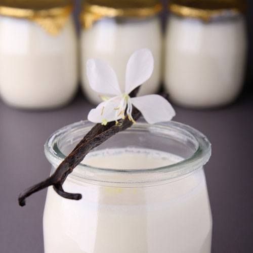 Vanilla Select Fragrance Oil image number null