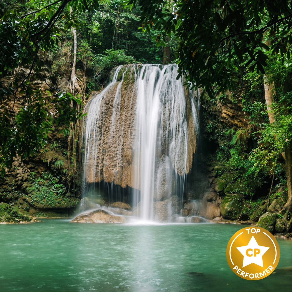 Jungle Waterfall Fragrance Oil image number null
