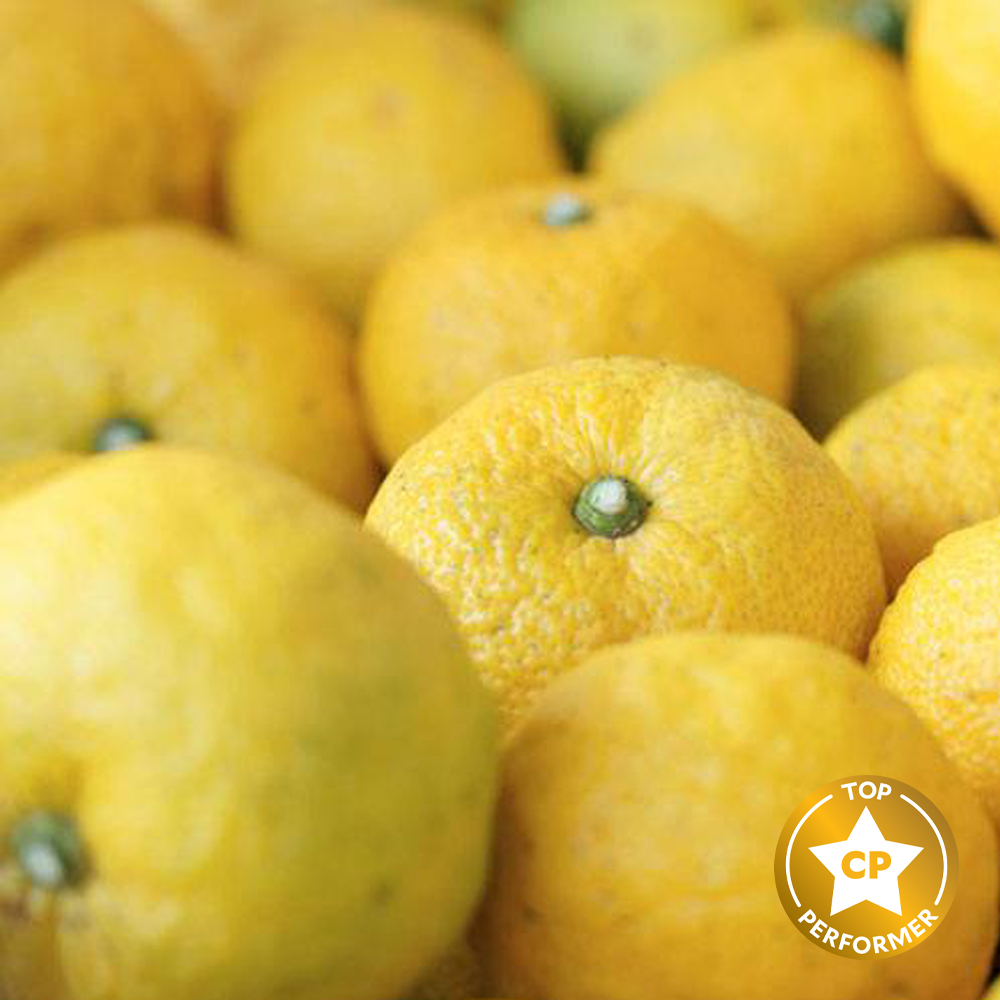 Yuzu Fragrance Oil image number null