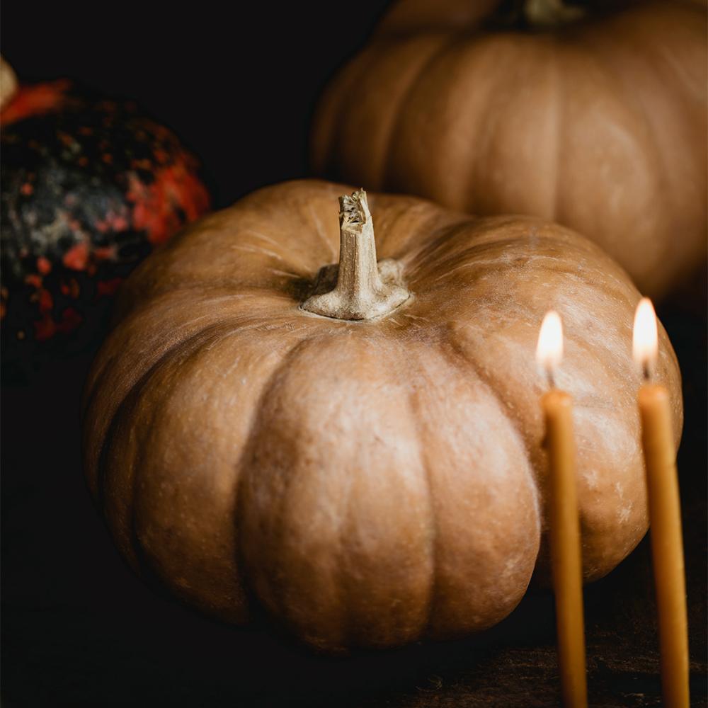Golden Pumpkin and Cardamom Fragrance Oil image number null