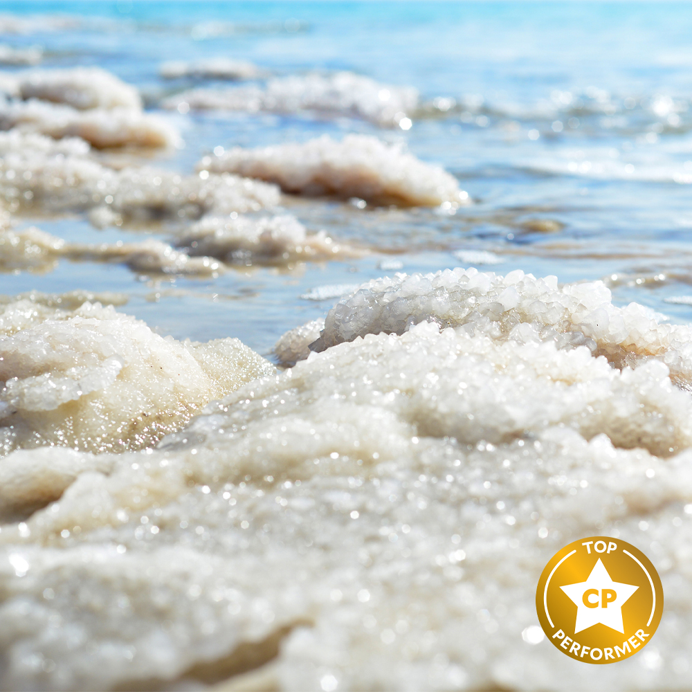 Sea Salt Fragrance Oil image number null