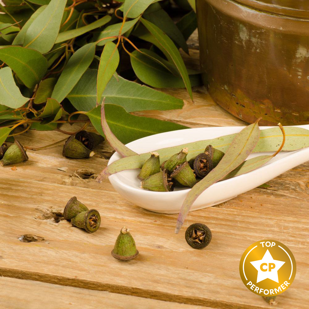 Rejuvenating Eucalyptus Fragrance Oil image number null