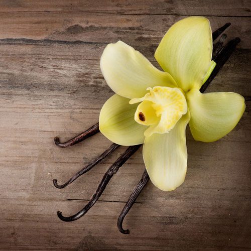 Vanilla Oak Fragrance Oil image number null