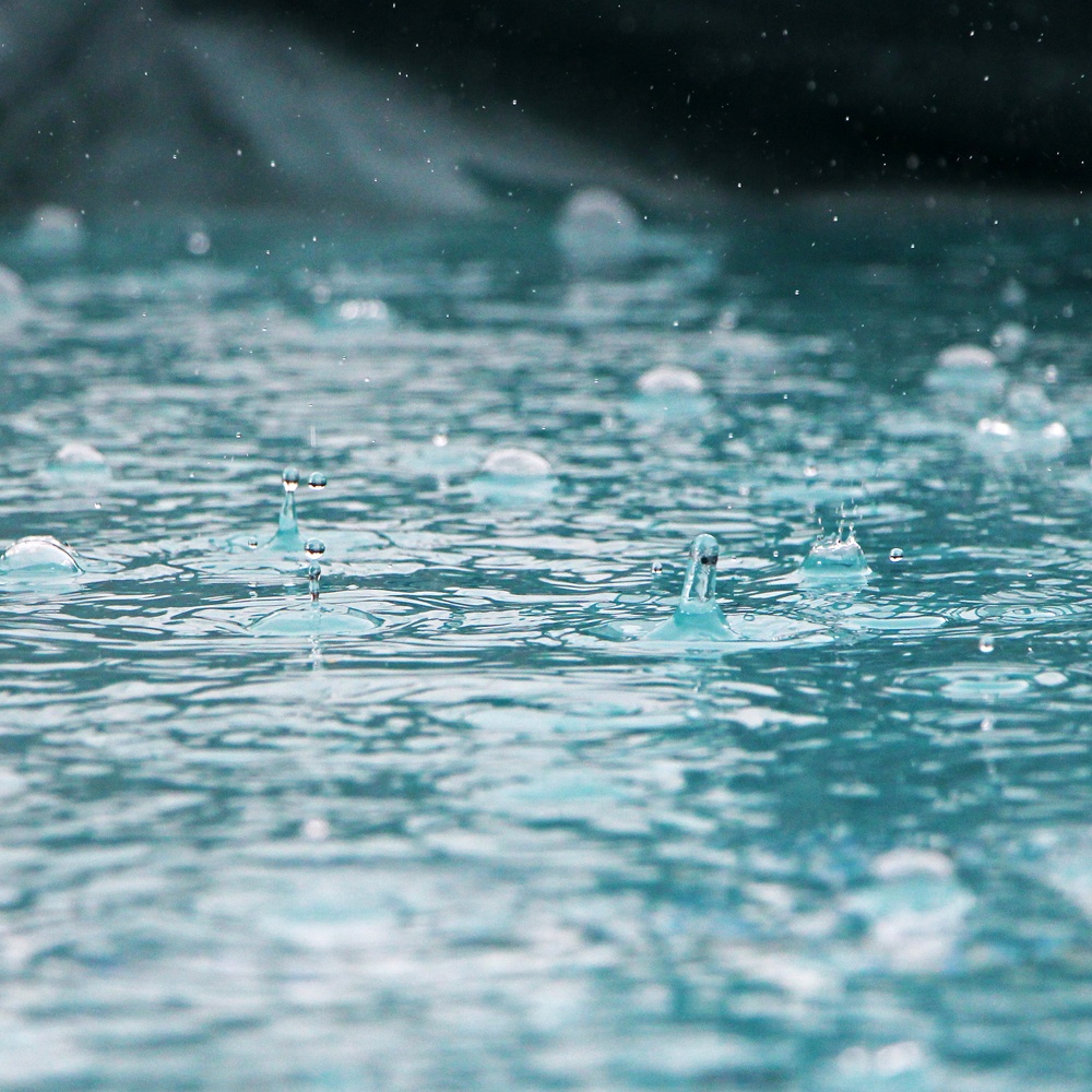 Coastal Rain Fragrance Oil image number null