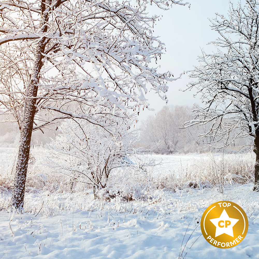 Fresh Snow Fragrance Oil image number null