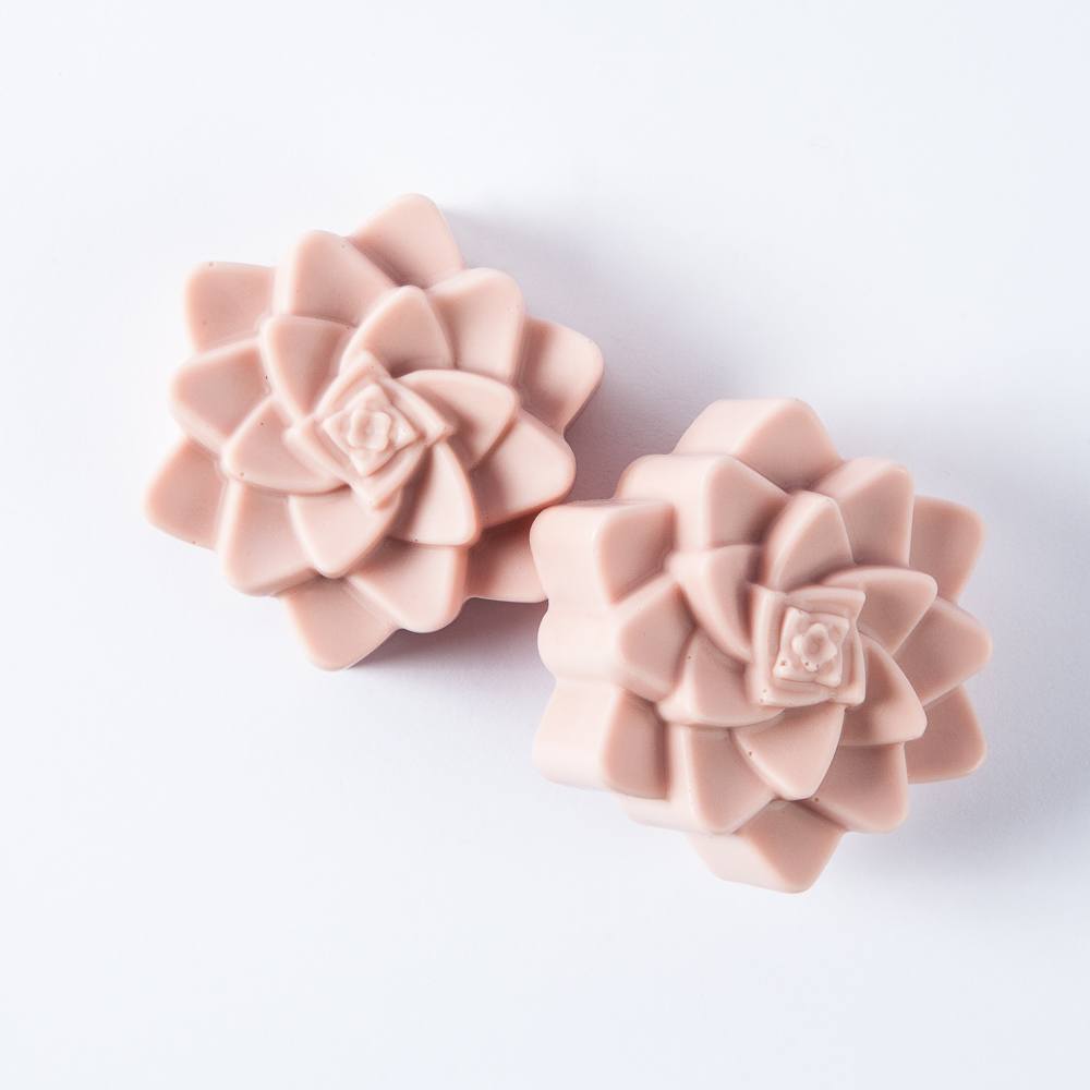 2 Cavity Succulent Silicone Mold image number null