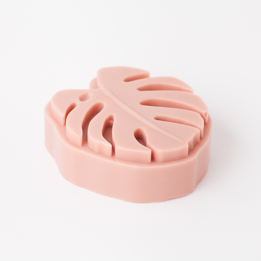 2 Cavity Monstera Silicone Mold image number null