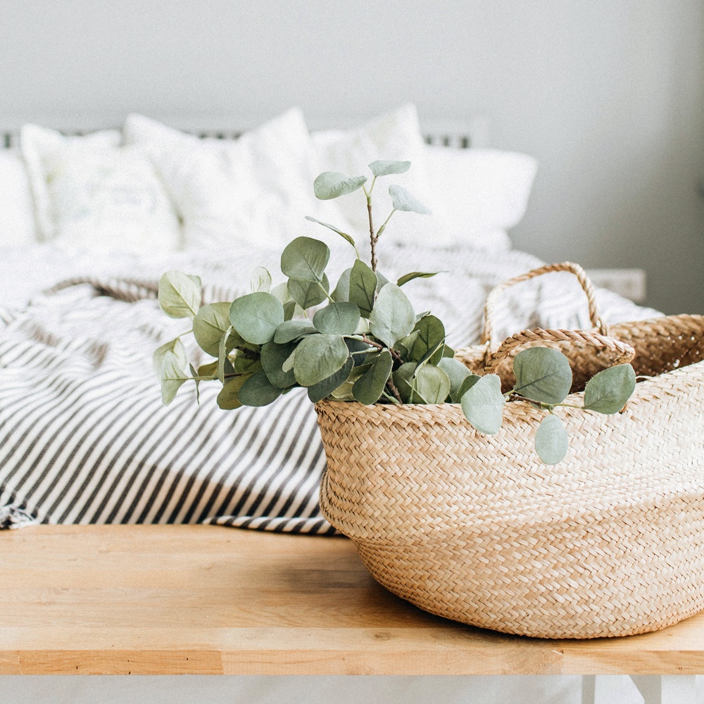 Eucalyptus and Cotton Fragrance Oil image number null