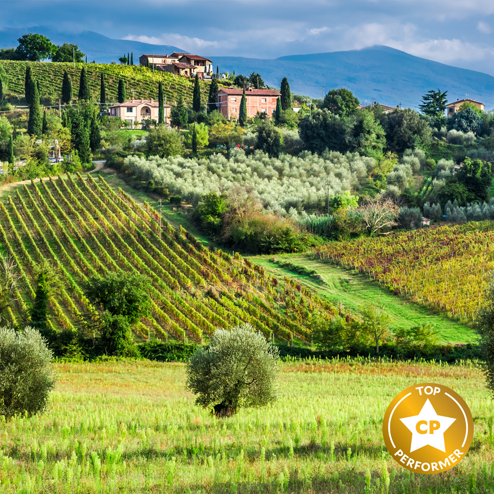 Tuscan Meadows Fragrance Oil image number null