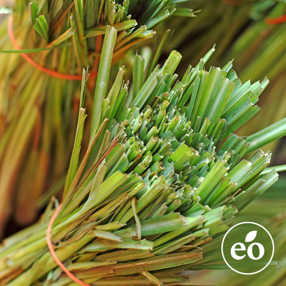 Lemongrass Essential Oil image number null