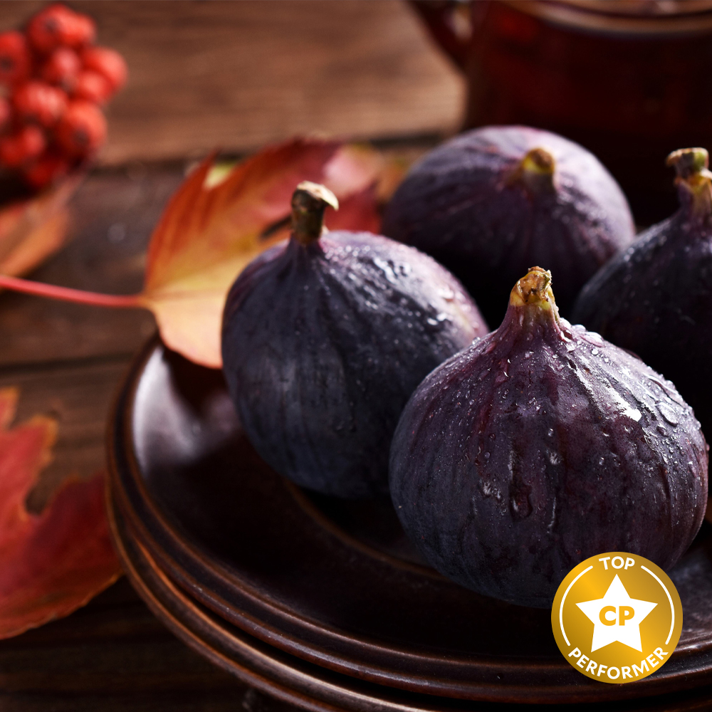 Autumn Fig Harvest Fragrance Oil image number null