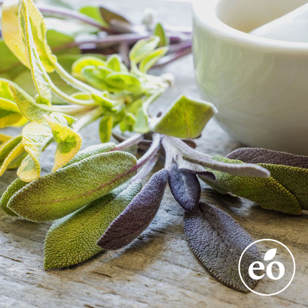 Sage - Dalmatian Essential Oil image number null