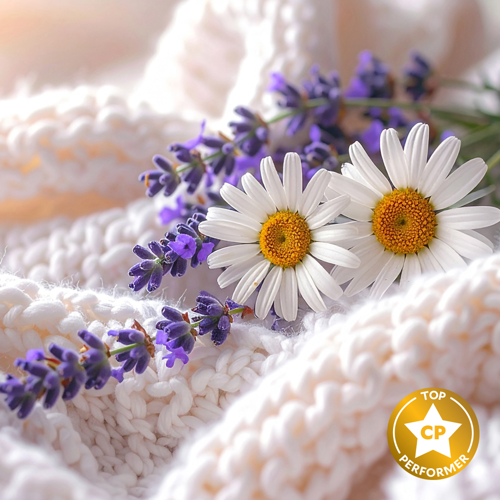 Lavender Lullaby Fragrance Oil image number null