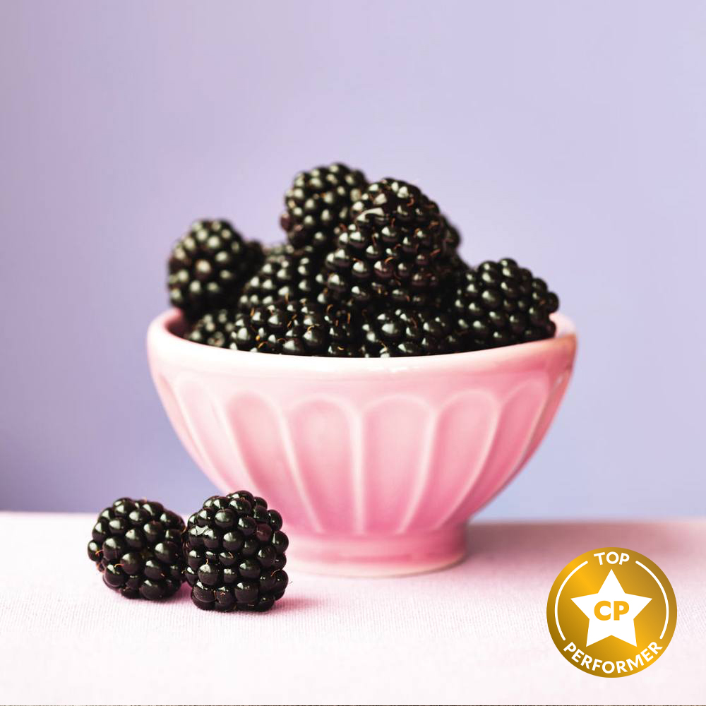 Bramble Berry Fragrance Oil image number null