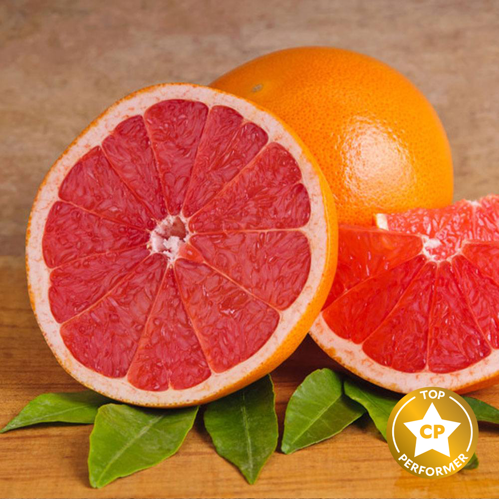 Pink Grapefruit Fragrance Oil image number null
