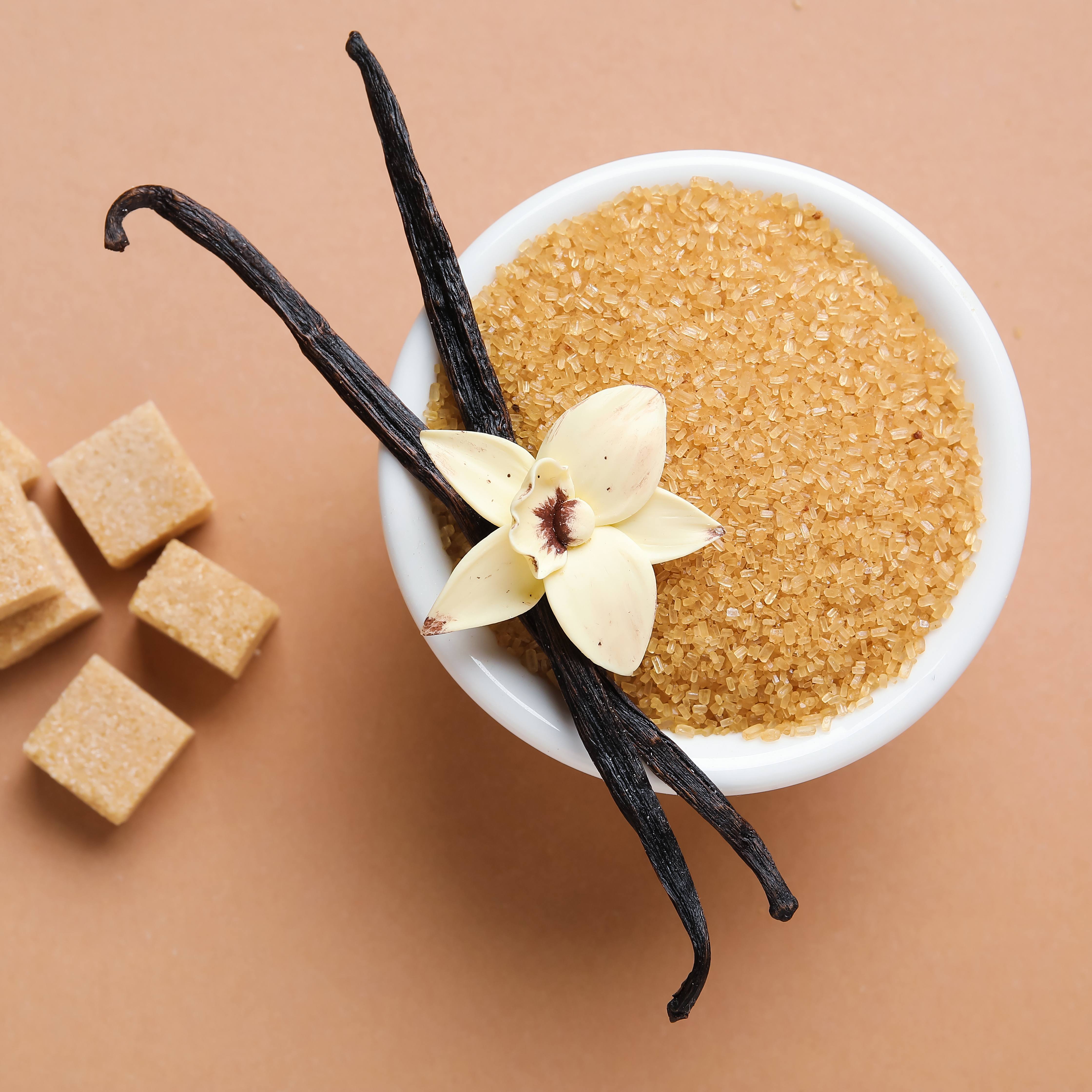 Warm Vanilla Sugar Fragrance Oil image number null