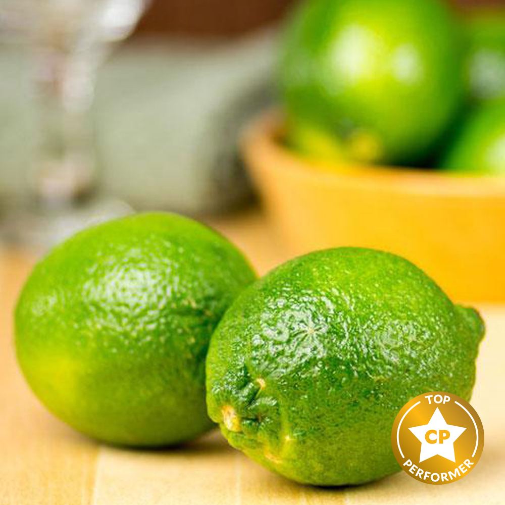 Lime Fragrance Oil image number null